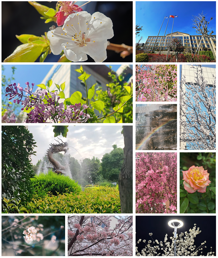 定格精彩 追寻美好——ug环球员工美拍活动落地