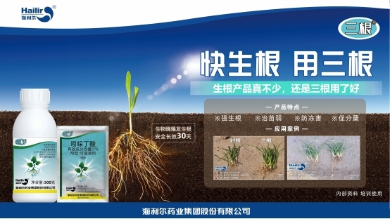 告别粗暴 转向协调——ug环球重新定义生根技术