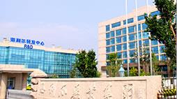 莱西市政府副市长张升山一行到ug环球参观