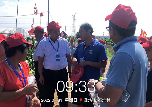 董事长走向田间地头，助力奥迪斯阿尔达大姜套餐现场观摩会及订货会圆满成功
