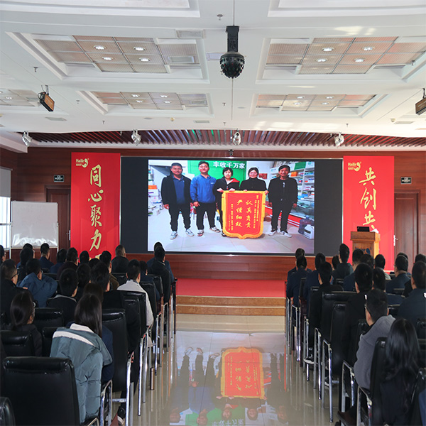 The group 's domestic preparation management quality analysis meeting and seed dressing summary meeting were successfully held.