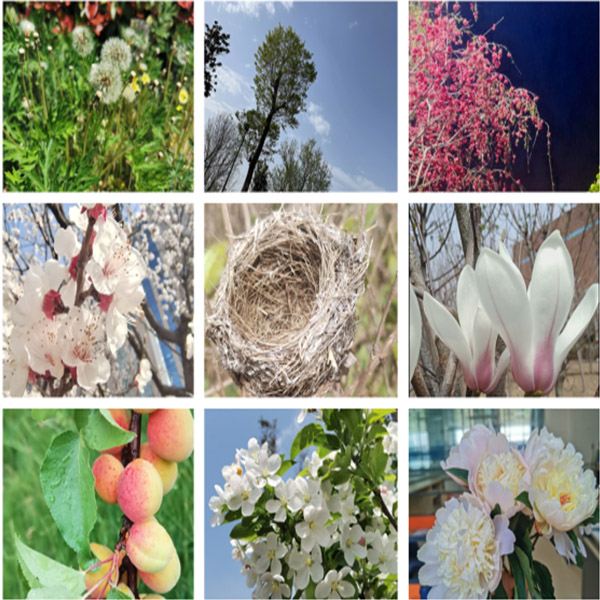 滕润翔“向上的力量，怒放的生命”主题活动落地  